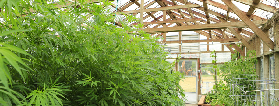 Security Solutions for Apartments in Somerset,  NJ